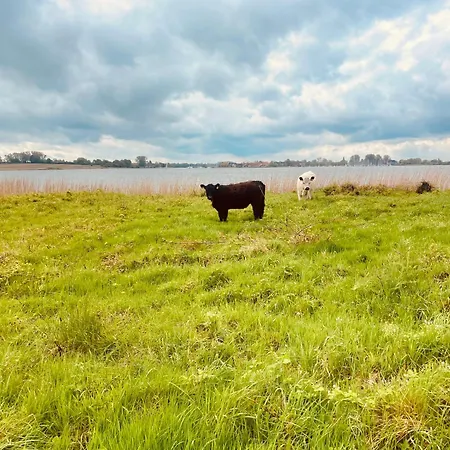 An Der Schlei 펜션 카페룬